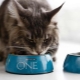 Variety of PURINA ONE dry cat food