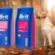 Brit variety of dry dog ​​food