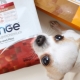 Variety of Monge dry food for dogs