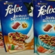 Felix dry food for cats
