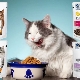 Dry food for cats PERFECT FIT