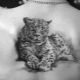 Leopard Tattoo