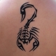 Scorpio tattoo for girls