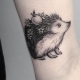 Hedgehog tattoo
