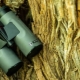 All about Bushnell binoculars