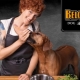 All about Belcando feed