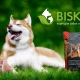 All about Bisko food