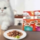 All About Gourmet Cat Food