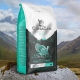 All about food for cats and cats Canagan