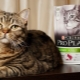 All About Purina Pro Plan Cat Food