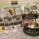 All about Purina food for kittens