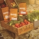 All about NOW FRESH food