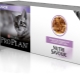All about Purina Pro Plan kitten food