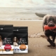 All About Purina Pro Plan Dog Food