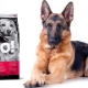 All about lamb food for dogs GO!