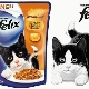 All about Felix food for kittens