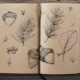 All about sketchbook