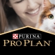All about dry food for cats and cats Purina Pro Plan