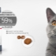 All About ROYAL CANIN Dry Cat Food