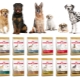 All about ROYAL CANIN dry dog ​​food