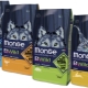 All about Monge dry food