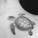 All about the Turtle tattoo