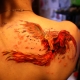 All about Phoenix tattoo for girls