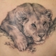 All about lioness tattoo