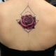 All about back tattoo