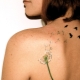 All about Dandelion with birds tattoo