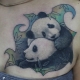All About Panda Tattoo