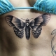 All About Moth Tattoos