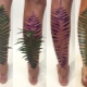 All About Fern Tattoo