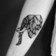 All About Elephant Tattoos