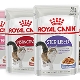 All About ROYAL CANIN Wet Food