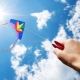 All about kites