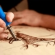 All about plywood burning
