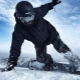 All About Snowboard Protection