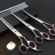 All about grooming tools