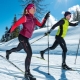 Choosing ski poles for the classic move