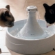 Choosing a drinking fountain