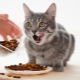 Whiskas for neutered cats and neutered cats