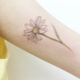 The meaning and sketches of Chamomile tattoos