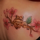 The meaning of a tattoo in the form of a frog and options for its execution