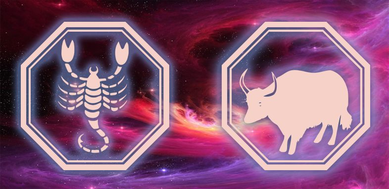 Porno talabalar dostlariga dars berishadi