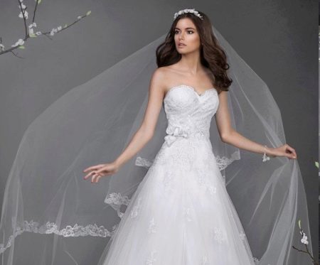 Wedding dress with tiara