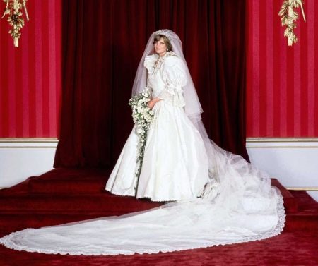 Dear Princess Diana's wedding dress