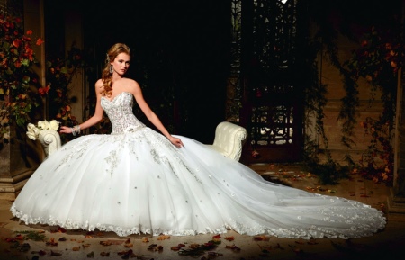 White fluffy dress with corset and train
